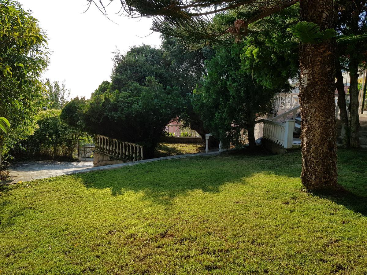 Villa Vanda 리지아 외부 사진